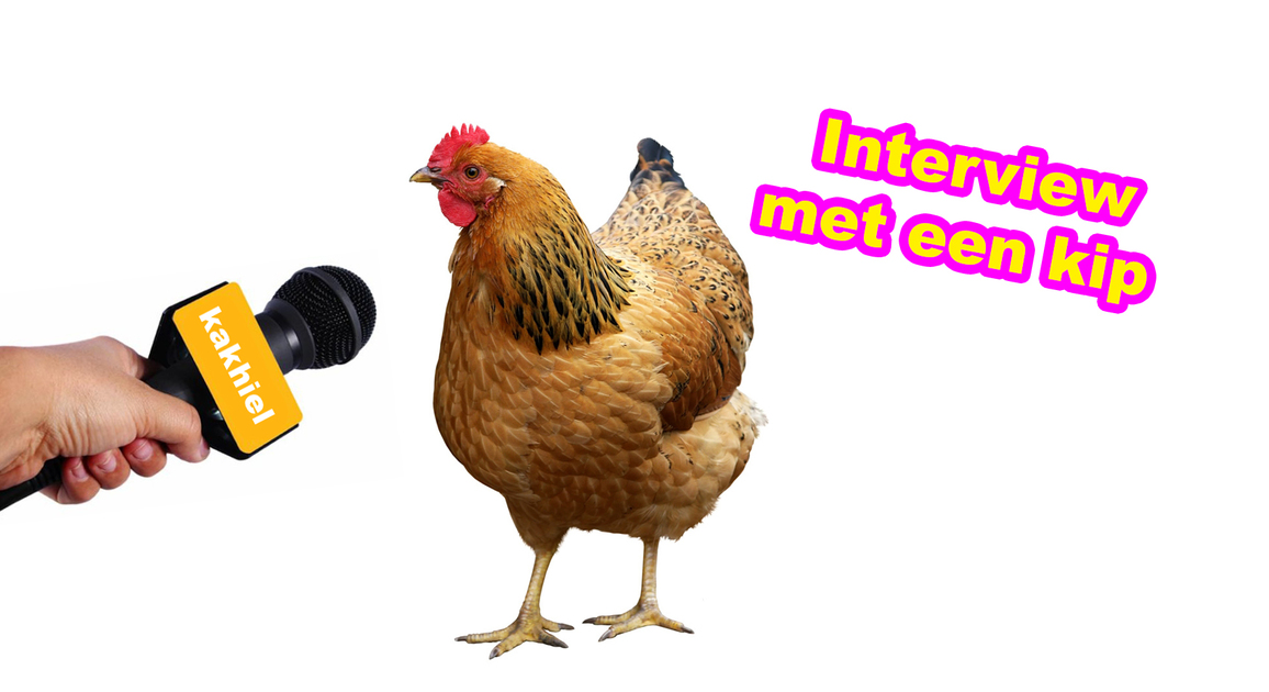 Interview met een kip
