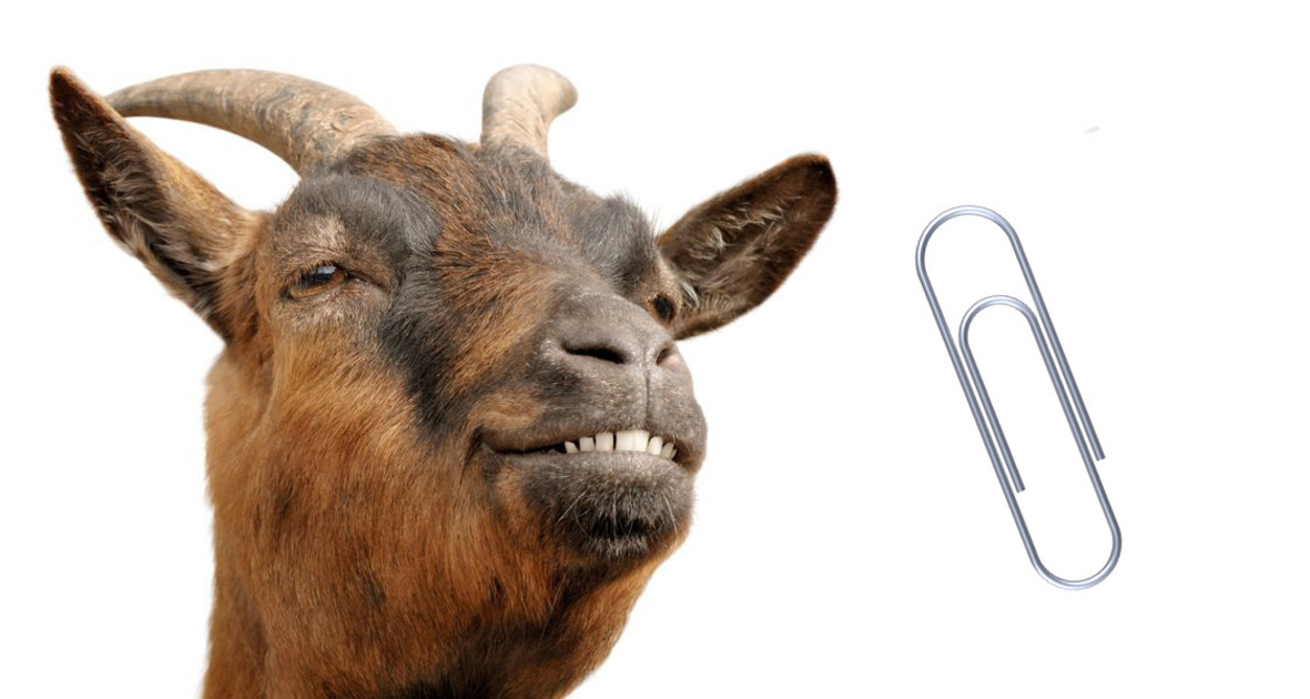 De 7 grootste verschillen tussen een geit en een paperclip