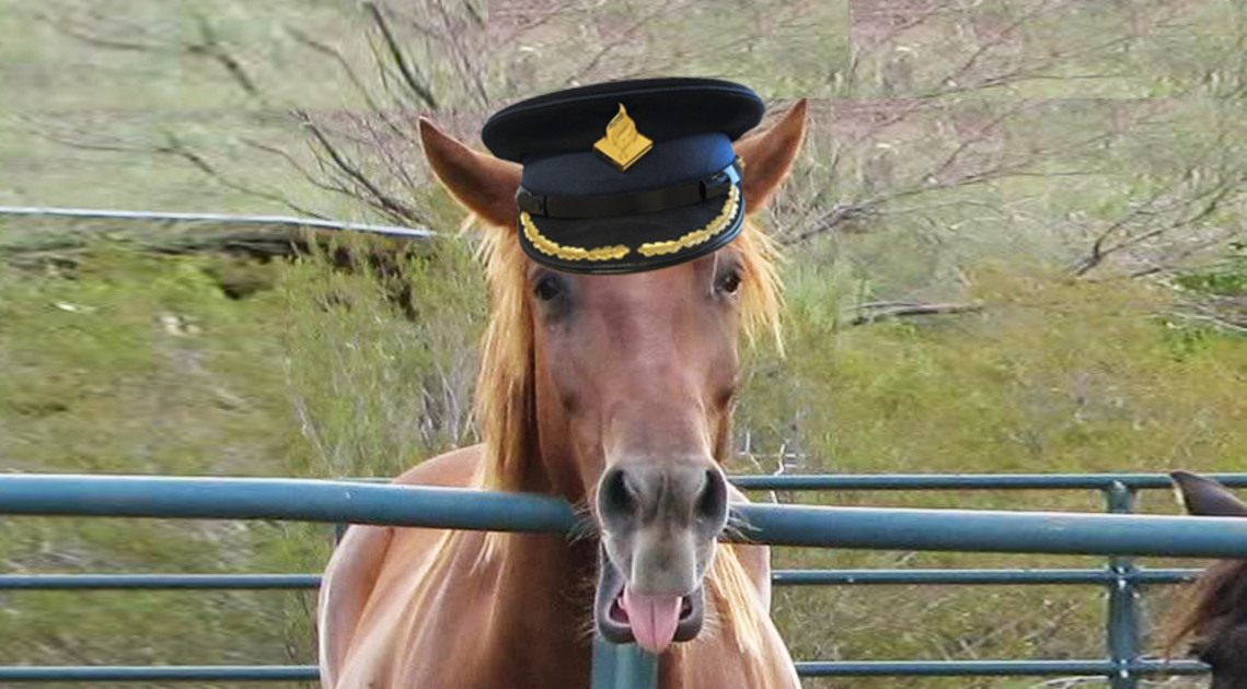 7 redenen waarom het vet kut is om een politiepaard te zijn