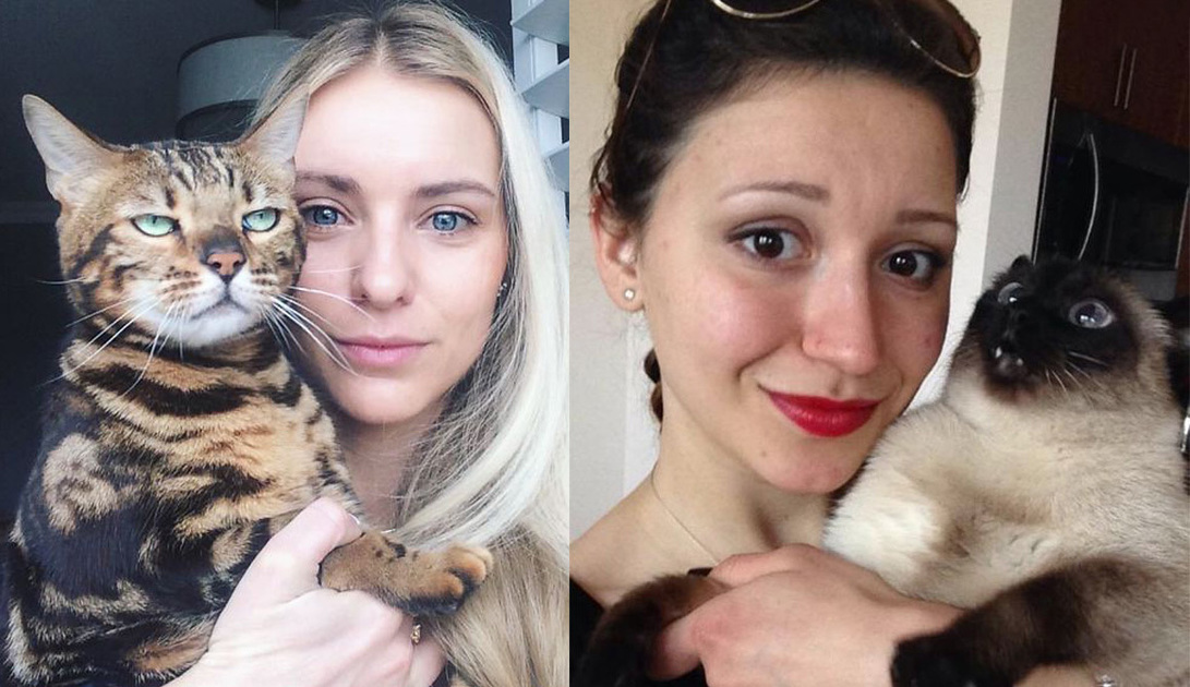 18 katten die echt een schurfthekel hebben aan selfies