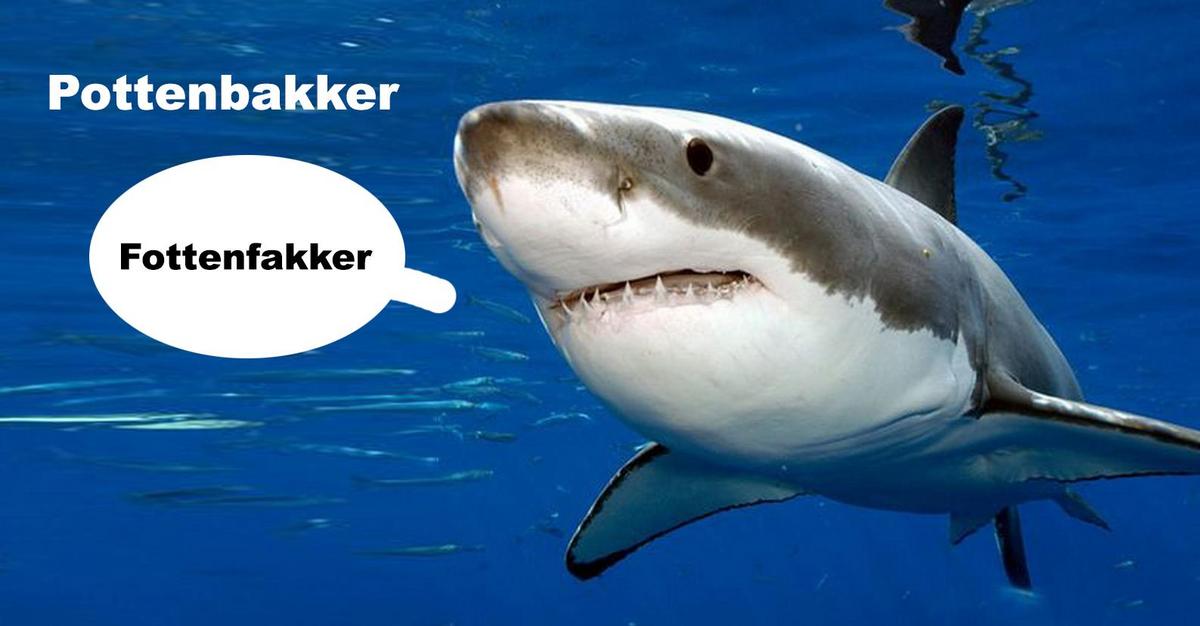 15 woorden die haaien niet uit kunnen spreken omdat ze geen lippen hebben