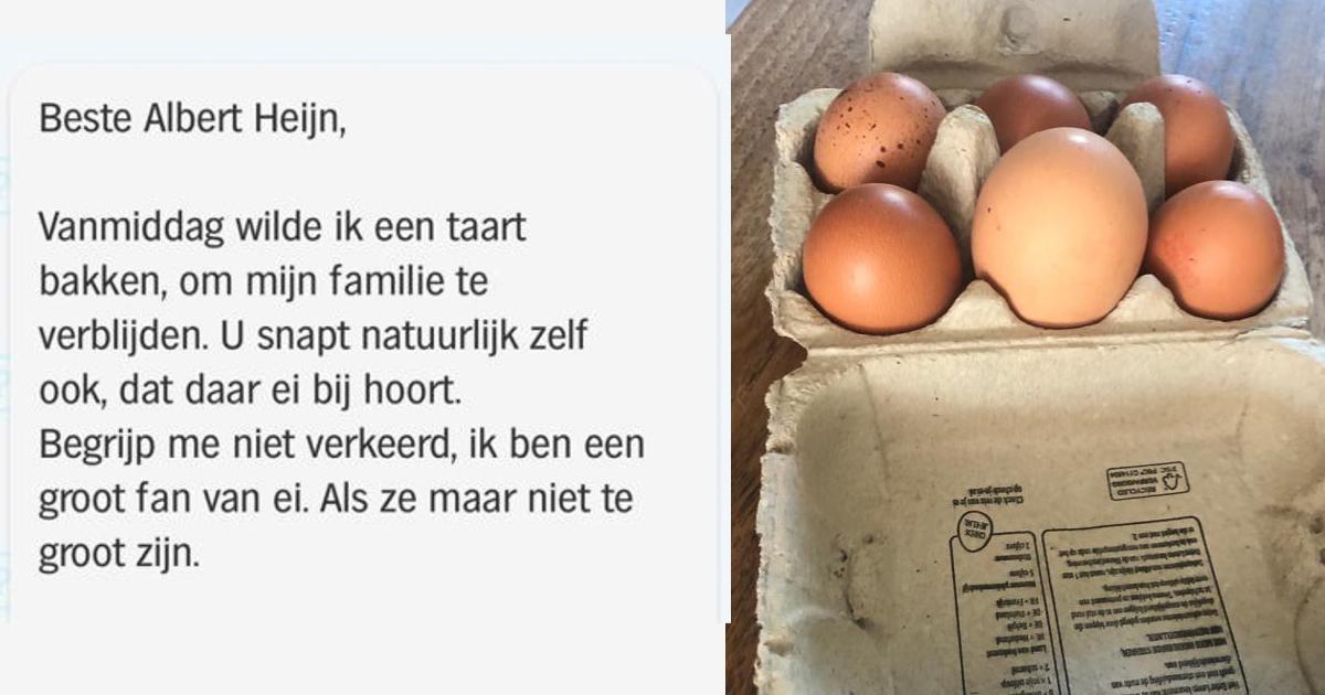 Vrouw koop zes medium eieren in de supermarkt en treft tot haar grote schrik een soort ganzenei aan in het doosje, hier het gesprek met de klantenservice (14 screens)